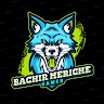 Bachir Meriche