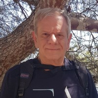 Fabio Basset