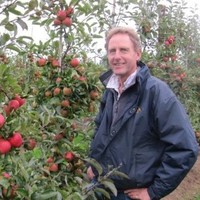 Simon Mount