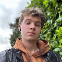 Владислав Левицкий