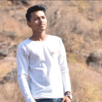 Vikas Sarathe