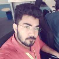 Bibin Abraham