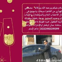 Mostafa Alprins