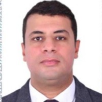 Ahmed Said Shaaban M. Shahin