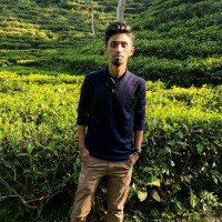 Mohammad Hossain Tanzil