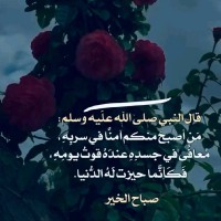 أيهاب هريدي