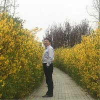 刘月涛