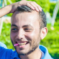 waleed emad