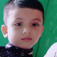 Hashem M.A