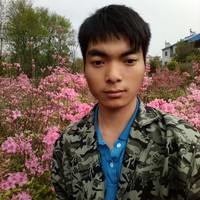 王中雨