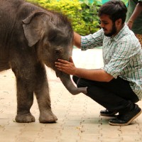 Dr Rajat P Kulkarni