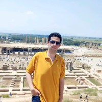 Seyed Ali Mirghasemi