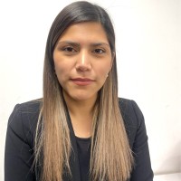 Plisseth Viñales Cid