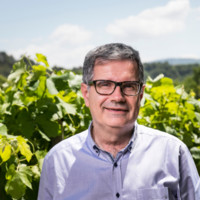 Antonio Olivé Martí