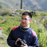 Linh Nguyen Hoai