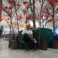 Gian N