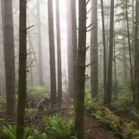 Raul Enrique Luzardo