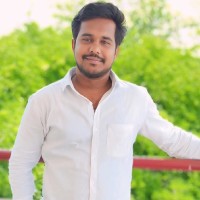 Dhinakaran P