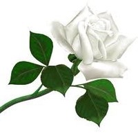 Rajesh R