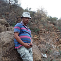 Teboho Mokatedi
