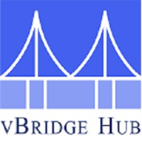 Vbridge Hub