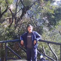 陈春玲