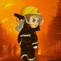 董舜尧
