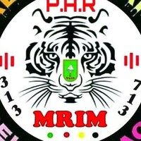 Lebah Madu Lebah Madu