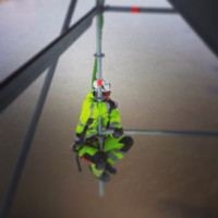 Modestas Kasiliauskas