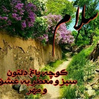 مجید نوری