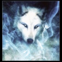 The Renegade