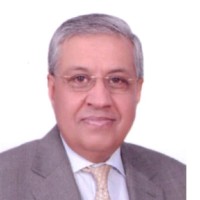 Anjum Bashir