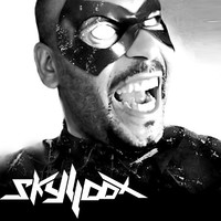 Olivier Noël (DJ Skyloox)