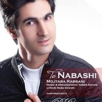 mojtaba rabbani