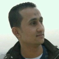 Mohamed M Hamdy