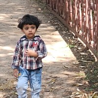 Vijay Raj Gupta