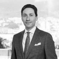 Francisco Gallegos R.