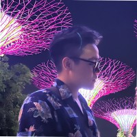 Duc Phuong Nguyen