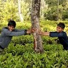 Nithish natarajan