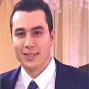 Hassan Lotfy