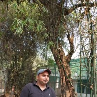 Keshav Chauhan