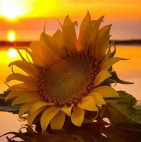 Diane Roberts