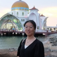 Yanxin Ye