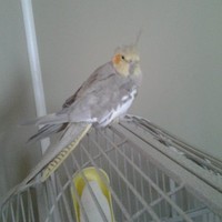 Brook Martin