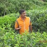 Senthil Kumar