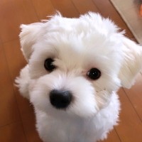 鬼形貴之