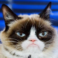 Mr. Grumpy (He/Him)