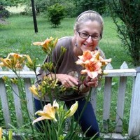 Sylvie Williams