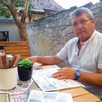 mircea ludusan
