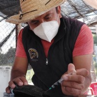 Alejandro Perez Rodriguez
